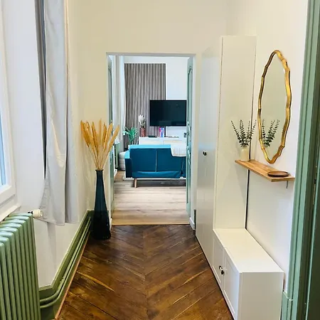 Luxueux Cosy, Hypercentre Castres (Tarn)